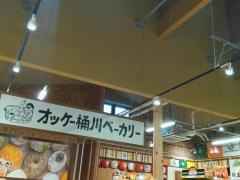 道の駅　べに花の郷おけがわ