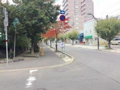 本郷通緑地