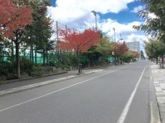 本郷通緑地