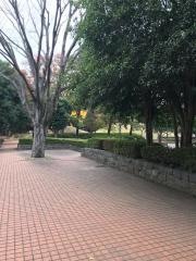 光綾公園