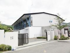 丸山ひばり小学校