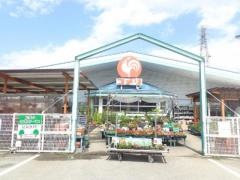 コメリハード＆グリーン　市島店