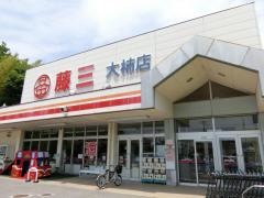 藤三大柿店