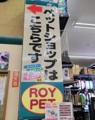ロイペッツ湘南大磯店