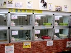 ロイペッツ湘南大磯店