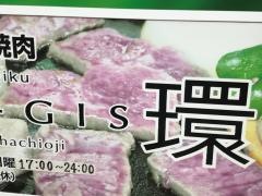 ＺＩＮ‐ＧＩＳ環