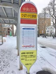 「地下鉄ひばりが丘駅」バス停留所