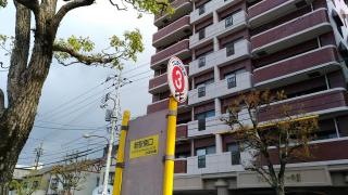 「新駅南口」バス停留所