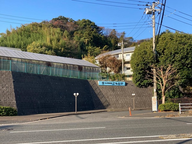 こもれび