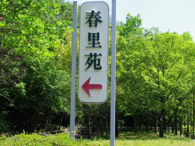 春里苑 看板