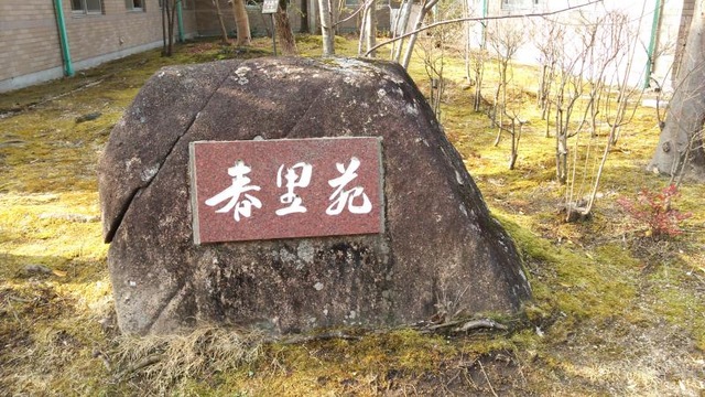 春里苑 看板