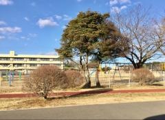 名崎小学校