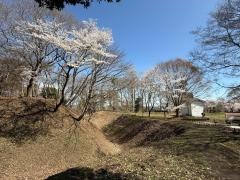 勝山城跡
