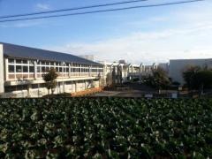 高神小学校