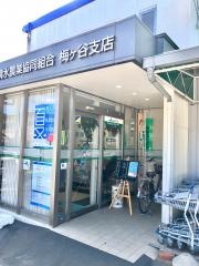 ＪＡしみず梅ケ谷支店