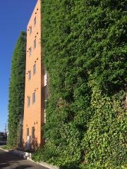名古屋経済大学高蔵高等学校