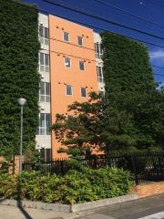 名古屋経済大学高蔵高等学校