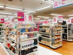 ザ・ダイソー　パレマルシェ河和店