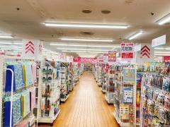 ザ・ダイソー　パレマルシェ河和店
