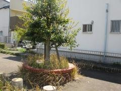 名西街園