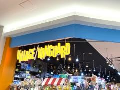 ヴィレッジヴァンガード　イオンモール草津店
