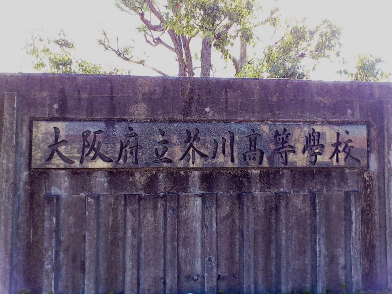 大阪 府立 芥川 高等 学校