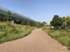 りんくう北公園