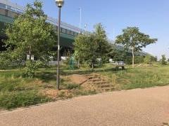 りんくう北公園