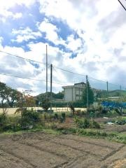 中野小学校