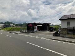 林檎の樹