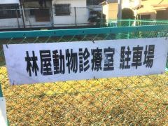 林屋動物診療室　皮膚病センター
