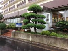 佐藤歯科医院