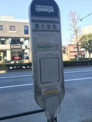 「要小学校」バス停留所