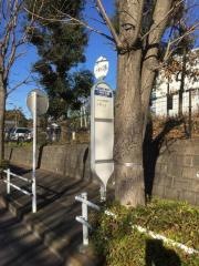 「一本杉公園」バス停留所