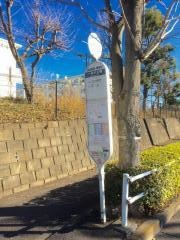 「一本杉公園」バス停留所
