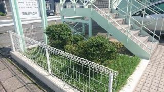 津田歯科医院