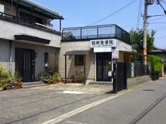 稲田整骨院