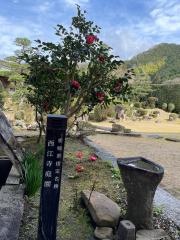西江寺庭園