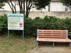 桜木公園