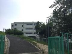 西百舌鳥小学校