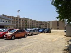 円座小学校