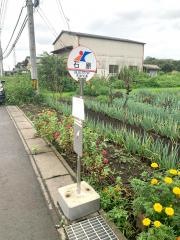 「石原」バス停留所