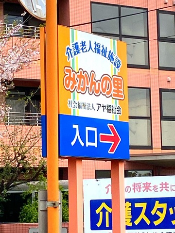 みかんの里 雰囲気