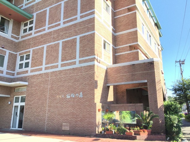 南永田桜樹の森