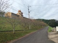 成和小学校