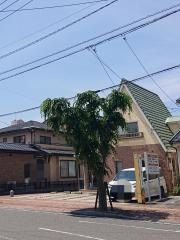 たむら鍼灸整骨院
