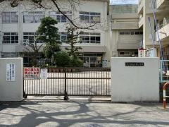 大柏小学校