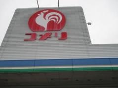 コメリハード＆グリーン　津川店