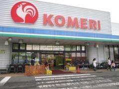 コメリハード＆グリーン　津川店
