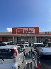 ザ・ビッグ　櫛形店